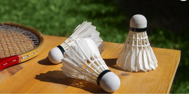 Hướng Dẫn Toàn Tập Cách Cá Cược Cầu Lông Tại OK365 – Dễ Hiểu, Dễ Chơi Cho Người Mới 4 Cá cược cầu lông tại Ok365