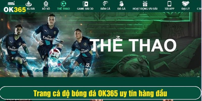 cá độ thể thao OK365
