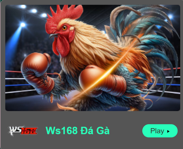 đá gà Ws 365 tại OK365